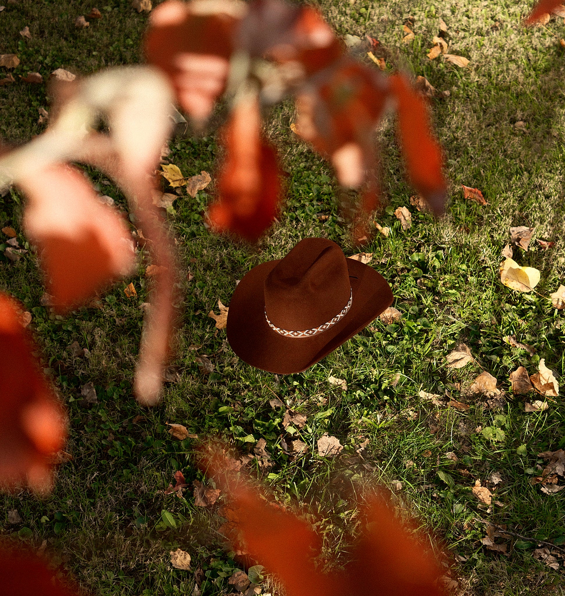 fall felt hat